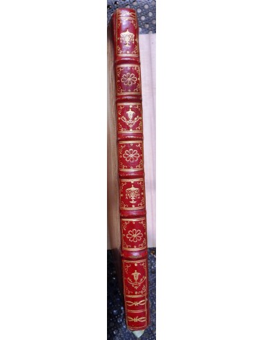 CREACIÓN DE UNA POBLACIÓN EN EL SITIO DE EL ROCÍO. AÑO DE 1790