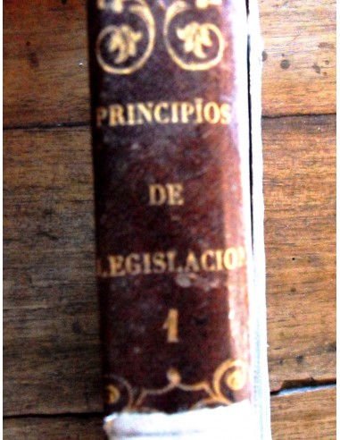 Principios de legislación